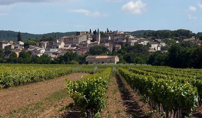 carces_town_vines_provence